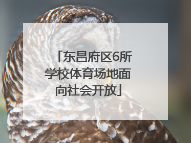 东昌府区6所学校体育场地面向社会开放