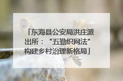 东海县公安局洪庄派出所：“五勤织网法”构建乡村治理新格局