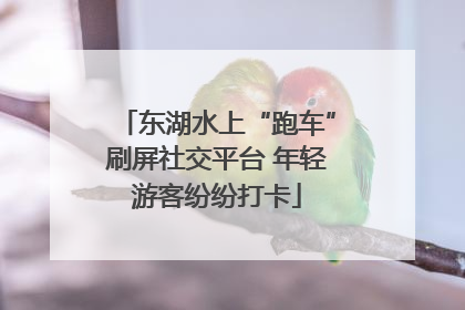 东湖水上“跑车”刷屏社交平台 年轻游客纷纷打卡