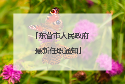 东营市人民政府最新任职通知