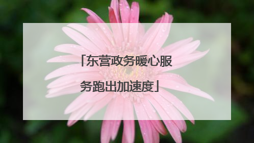 东营政务暖心服务跑出加速度