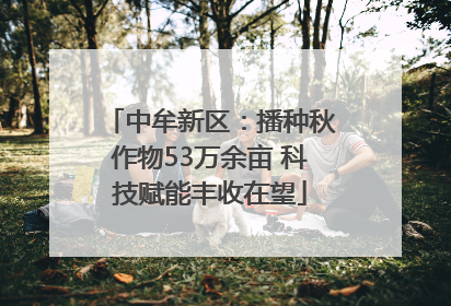 中牟新区：播种秋作物53万余亩 科技赋能丰收在望