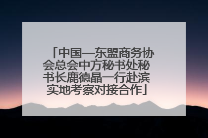中国—东盟商务协会总会中方秘书处秘书长鹿德晶一行赴滨实地考察对接合作