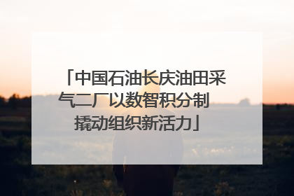 中国石油长庆油田采气二厂以数智积分制 撬动组织新活力
