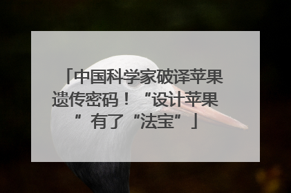 中国科学家破译苹果遗传密码！“设计苹果”有了“法宝”