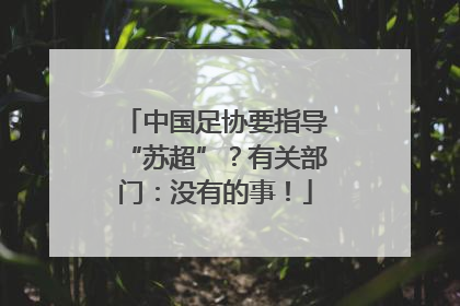 中国足协要指导“苏超”？有关部门：没有的事！