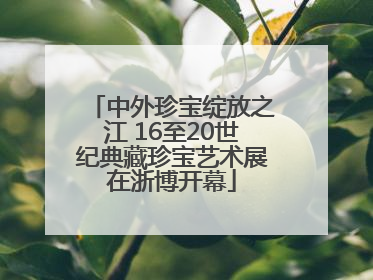中外珍宝绽放之江 16至20世纪典藏珍宝艺术展在浙博开幕