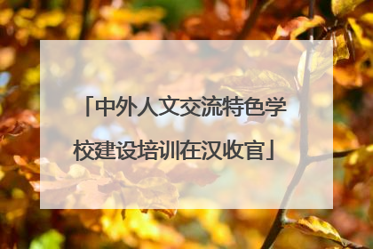 中外人文交流特色学校建设培训在汉收官
