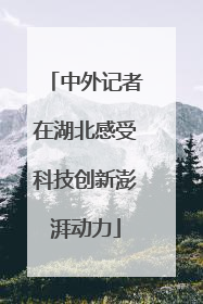 中外记者在湖北感受科技创新澎湃动力