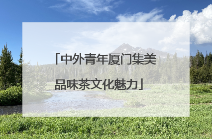 中外青年厦门集美品味茶文化魅力