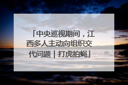 中央巡视期间，江西多人主动向组织交代问题｜打虎拍蝇
