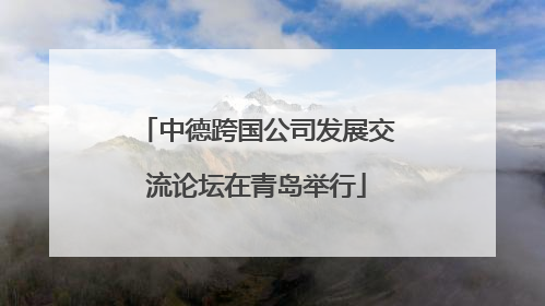 中德跨国公司发展交流论坛在青岛举行