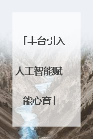 丰台引入人工智能赋能心育
