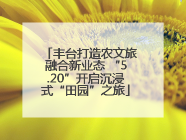 丰台打造农文旅融合新业态 “5.20”开启沉浸式“田园”之旅