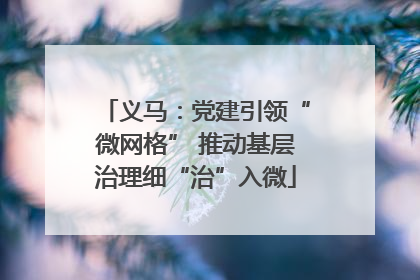 义马：党建引领“微网格” 推动基层治理细“治”入微
