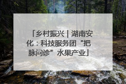 乡村振兴｜湖南安化：科技服务团“把脉问诊”水果产业