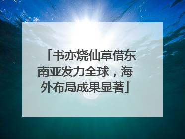 书亦烧仙草借东南亚发力全球，海外布局成果显著