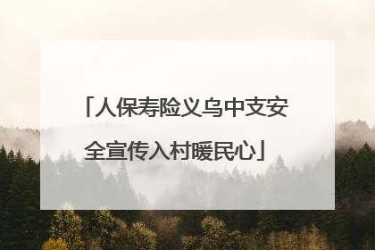 人保寿险义乌中支安全宣传入村暖民心
