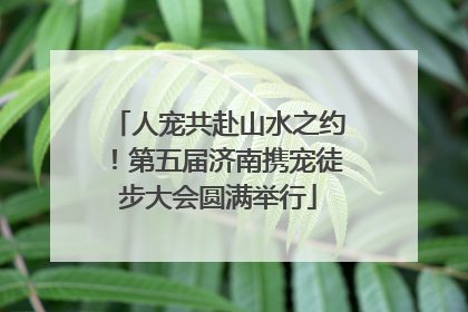 人宠共赴山水之约！第五届济南携宠徒步大会圆满举行