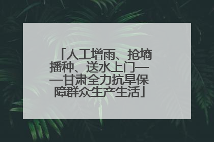 人工增雨、抢墒播种、送水上门——甘肃全力抗旱保障群众生产生活
