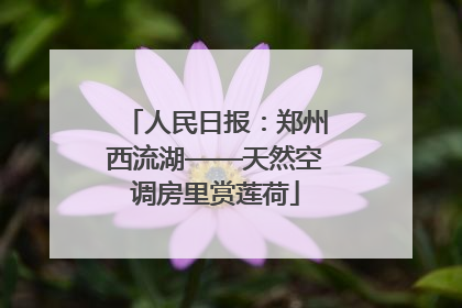 人民日报：郑州西流湖——天然空调房里赏莲荷