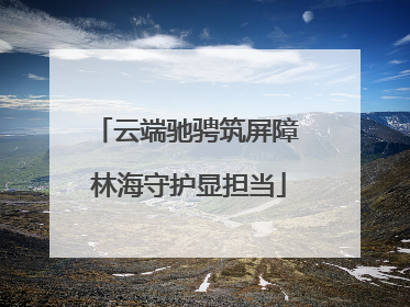云端驰骋筑屏障 林海守护显担当