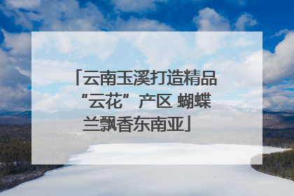 云南玉溪打造精品“云花”产区 蝴蝶兰飘香东南亚