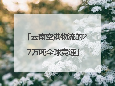 云南空港物流的27万吨全球竞速
