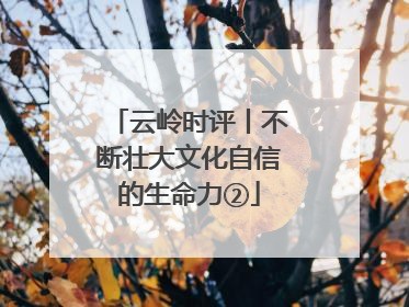 云岭时评丨不断壮大文化自信的生命力②