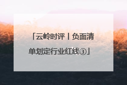 云岭时评丨负面清单划定行业红线③