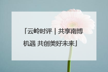 云岭时评｜共享南博机遇 共创美好未来
