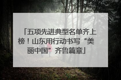 五项先进典型名单齐上榜！山东用行动书写“美丽中国”齐鲁篇章
