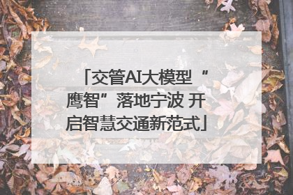 交管AI大模型“鹰智”落地宁波 开启智慧交通新范式