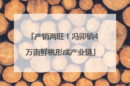 产销两旺！冯卯镇4万亩鲜桃形成产业链