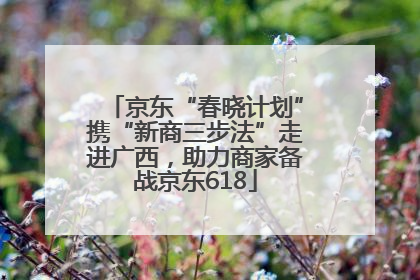 京东“春晓计划”携“新商三步法”走进广西，助力商家备战京东618