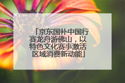 京东国补中国行赛龙舟游佛山，以特色文化赛事激活区域消费新动能