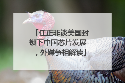 任正非谈美国封锁下中国芯片发展，外媒争相解读