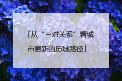 从“三对关系”看城市更新的历城路径