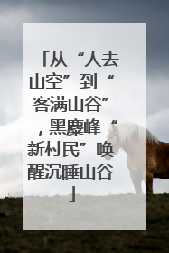 从“人去山空”到“客满山谷”，黑麋峰“新村民”唤醒沉睡山谷