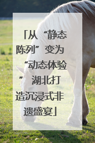 从“静态陈列”变为“动态体验” 湖北打造沉浸式非遗盛宴