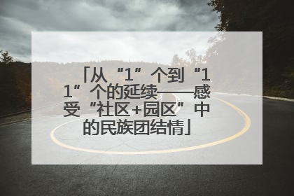 从“1”个到“11”个的延续——感受“社区+园区”中的民族团结情
