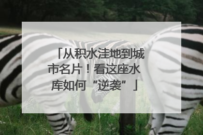 从积水洼地到城市名片！看这座水库如何“逆袭”