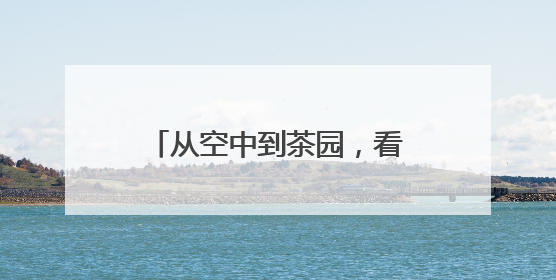 从空中到茶园，看“藏蓝防线”如何守护云雾茶香！