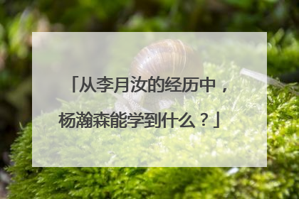 从李月汝的经历中，杨瀚森能学到什么？