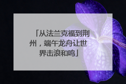 从法兰克福到荆州，端午龙舟让世界击浪和鸣