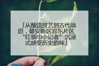 从酿造技艺到古代战道，雄安新区容东片区“红领巾小记者”沉浸式感受历史韵味