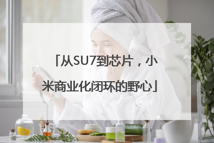 从SU7到芯片，小米商业化闭环的野心