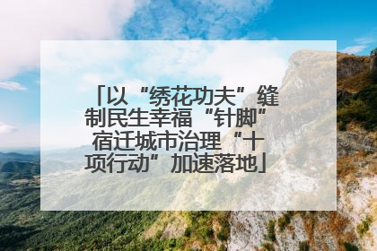 以“绣花功夫”缝制民生幸福“针脚” 宿迁城市治理“十项行动”加速落地