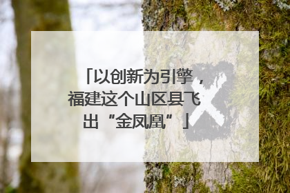 以创新为引擎，福建这个山区县飞出“金凤凰”