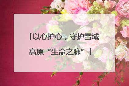 以心护心，守护雪域高原“生命之脉”